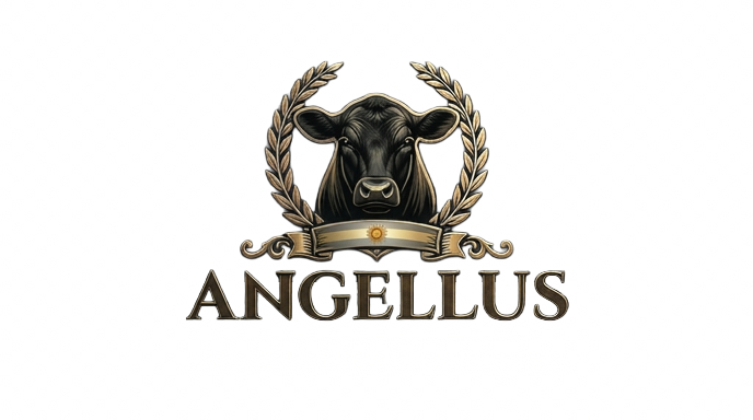 ANGELLUS